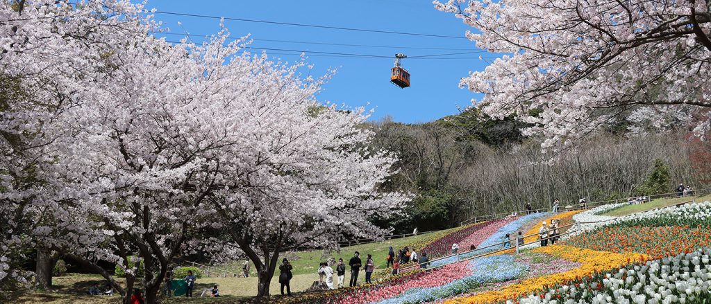 令和５年の火の山ロープウェイの運行情報について