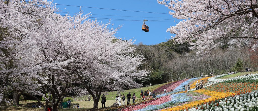 令和６年火の山ロープウェイの運行情報について